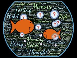 fish bowl filled with words that imply limiting beliefs