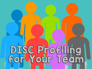 group of people of different primary and secondary colors to illustrate DISC profile personalities