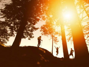 Three people rejoicing energetically among the trees to illustrate living their life with passion and purpose